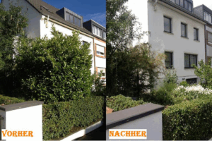 All Around Krekel Garten