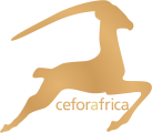 Ceforafrica - Afroshop