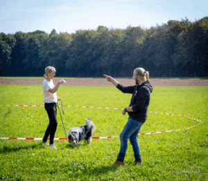 Die Hundeschule heißt Clever Canis