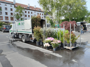 Gartenbau & Baumdienst Wöllner