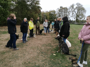 Hundeschule Buddy