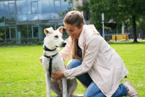 Hundetraining Köln Süd