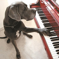 Musikschule Martens