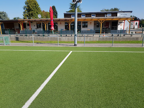 Vfl Rheingold Poll