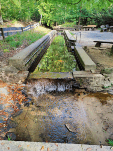 Wassertretstelle Königsforst